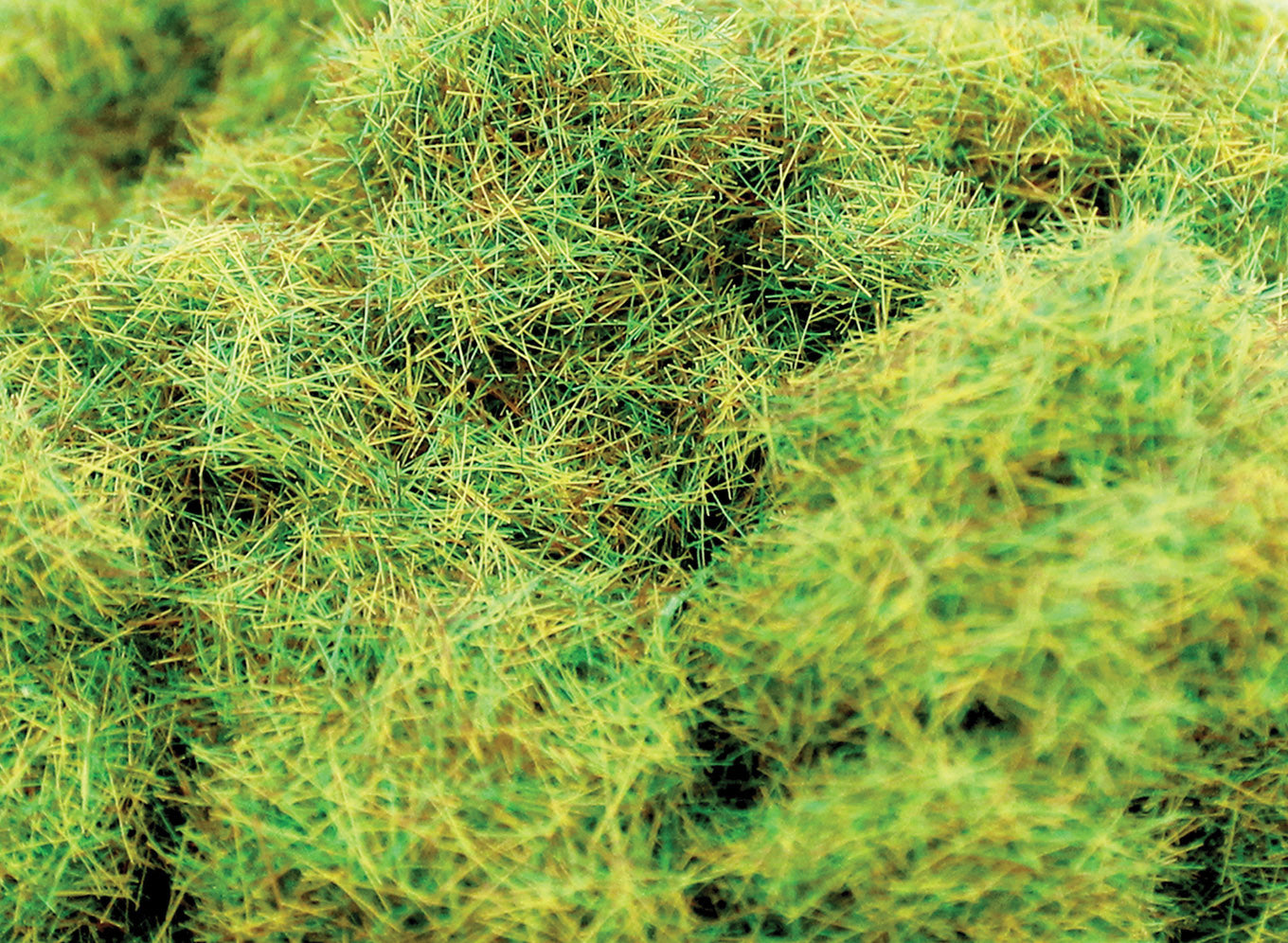 peco-wwscenics-wsg4009-4-mm-spring-streugras-1000-ml-dose-fr-hling image 1