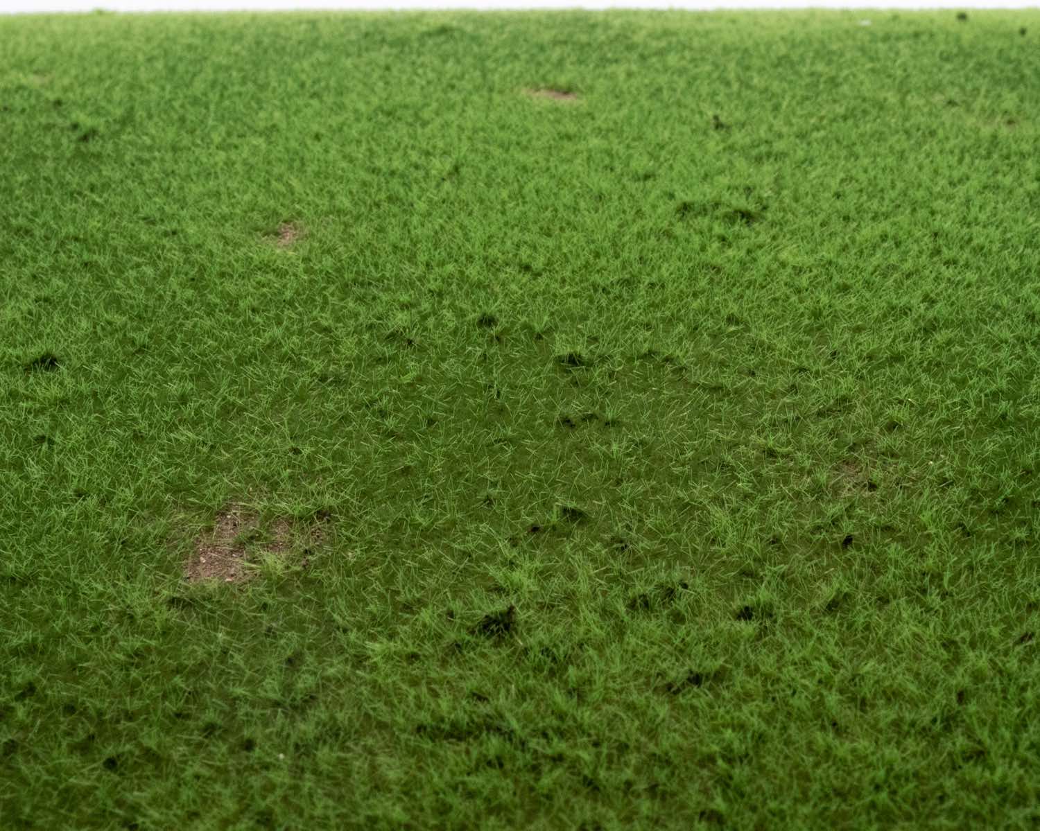 rts-greenkeeper-viehweide-grasmatte-420x297-mm-flexibel image 1