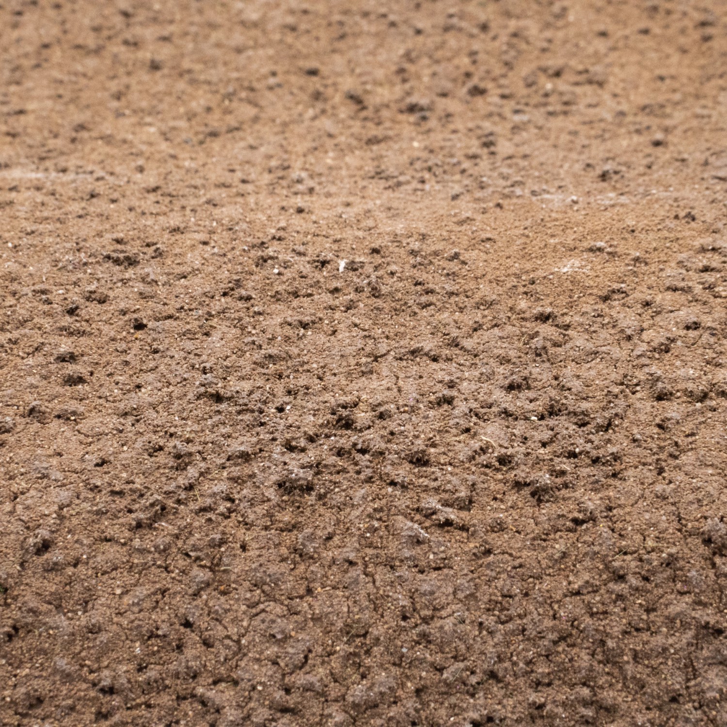 rts-greenkeeper-gr-ser-grasmatte-acker-420x297-mm image 1
