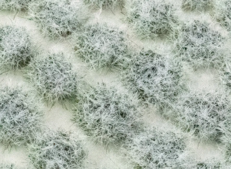 wwscenics-grasb-schel-winter-4mm-vereist-100-st-ck image 1