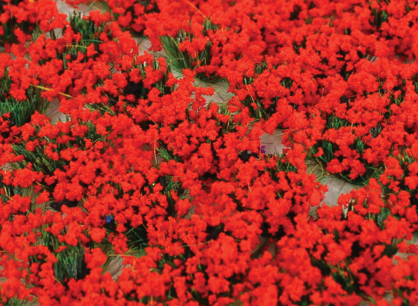 wwscenics-sgtpop06-grasb-schel-mohn-6-mm-100-st-ck image 1