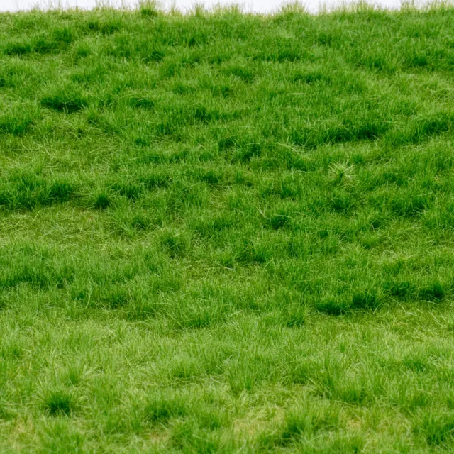 rts-greenkeeper-grasmatte-fr-hsommer-matte-flexibel image 1
