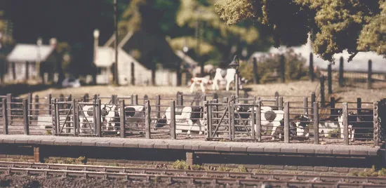 peco-ratio-502-viehrampe-bausatz-oo-ho-bahnhof image 1