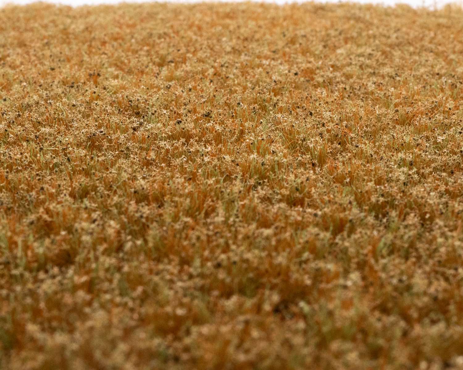rts-greenkeeper-b-schel-unkrautb-schel-wintergras-148x210mm image 1