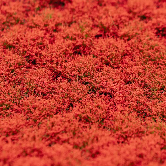rts-greenkeeper-bl-tenb-schel-grasb-schel-rot-148x210 image 1