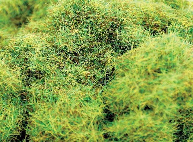 wwscenics-wsg2008-streugras-fr-hling-2mm-500ml-dose image 1