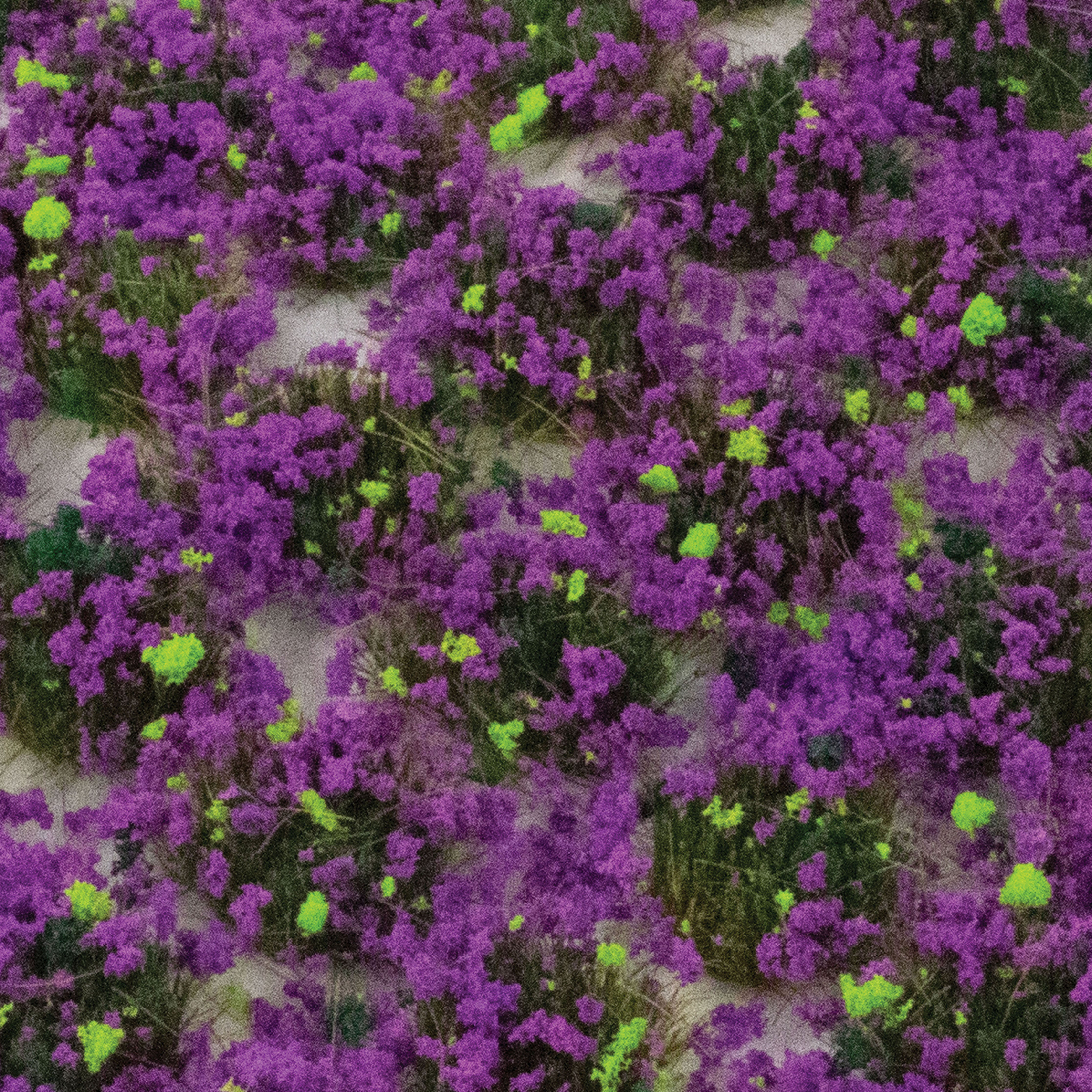 wwscenics-w3the4-heather-grasb-schel-4mm-103-st-ck image 1