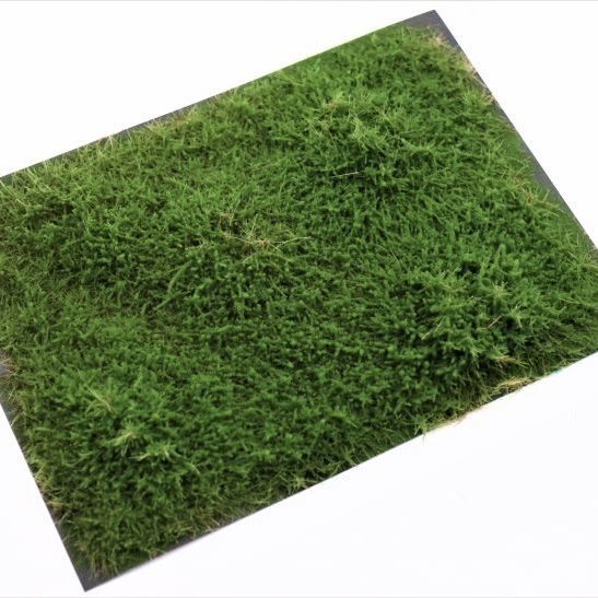 rts-greenkeeper-str-ucher-wacholder-gr-n-4-30-mm image 2