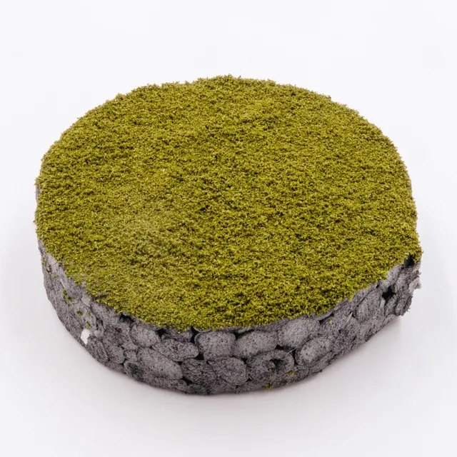 rts-greenkeeper-turfs-nano-turf-streu-strauchgr-n-unkraut-h0 image 1