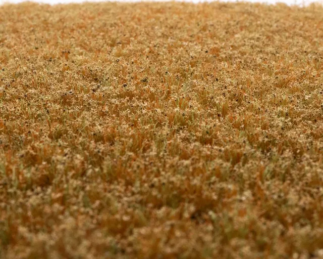 rts-greenkeeper-b-schel-unkrautb-schel-wintergras-148x210mm image 1