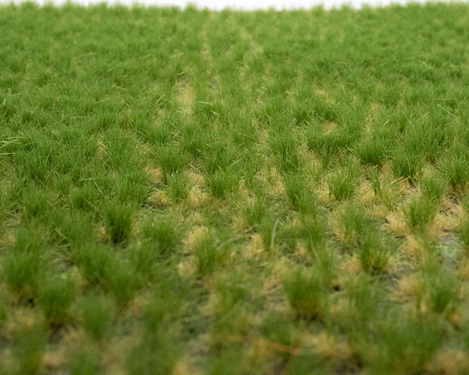 rts-greenkeeper-b-schel-grasb-schel-sommer-matte image 1