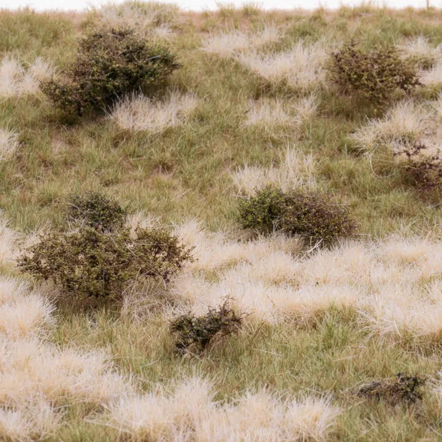 rts-greenkeeper-wildwuchs-sommer-grasmatte-30x21-cm-a4 image 1