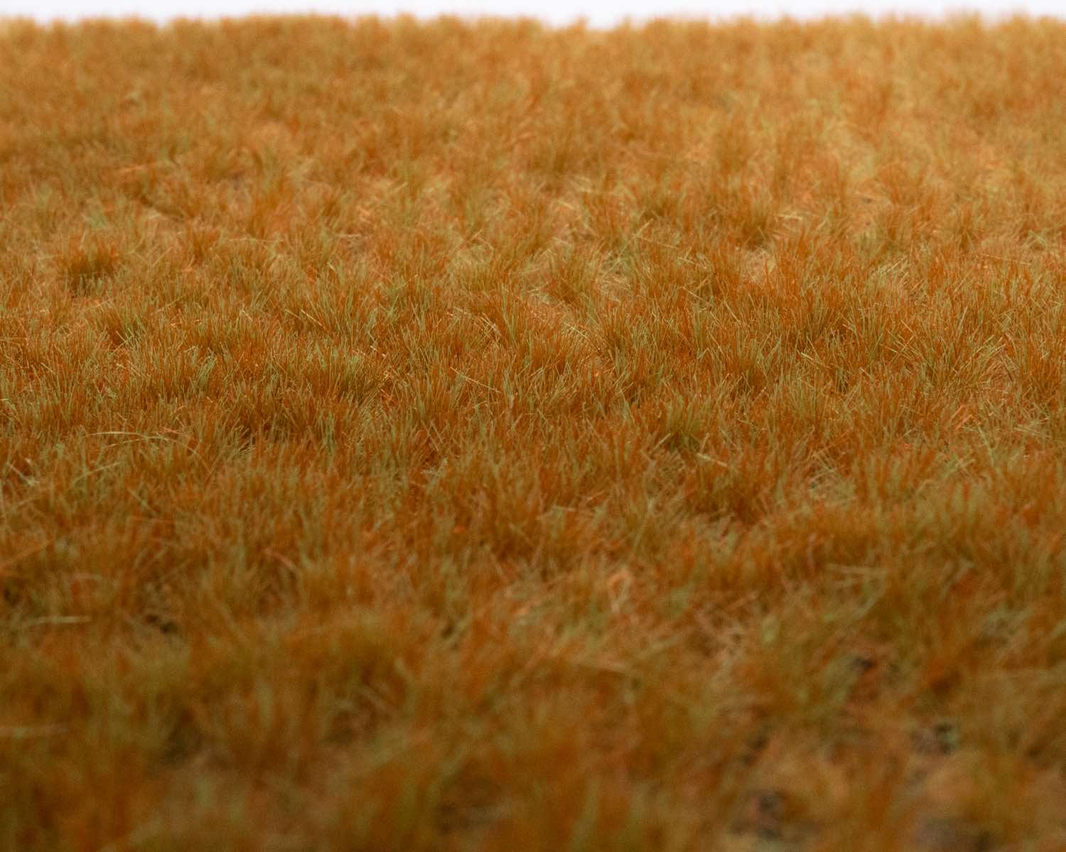 rts-greenkeeper-wintergras-grasb-schel-148x210-mm image 1