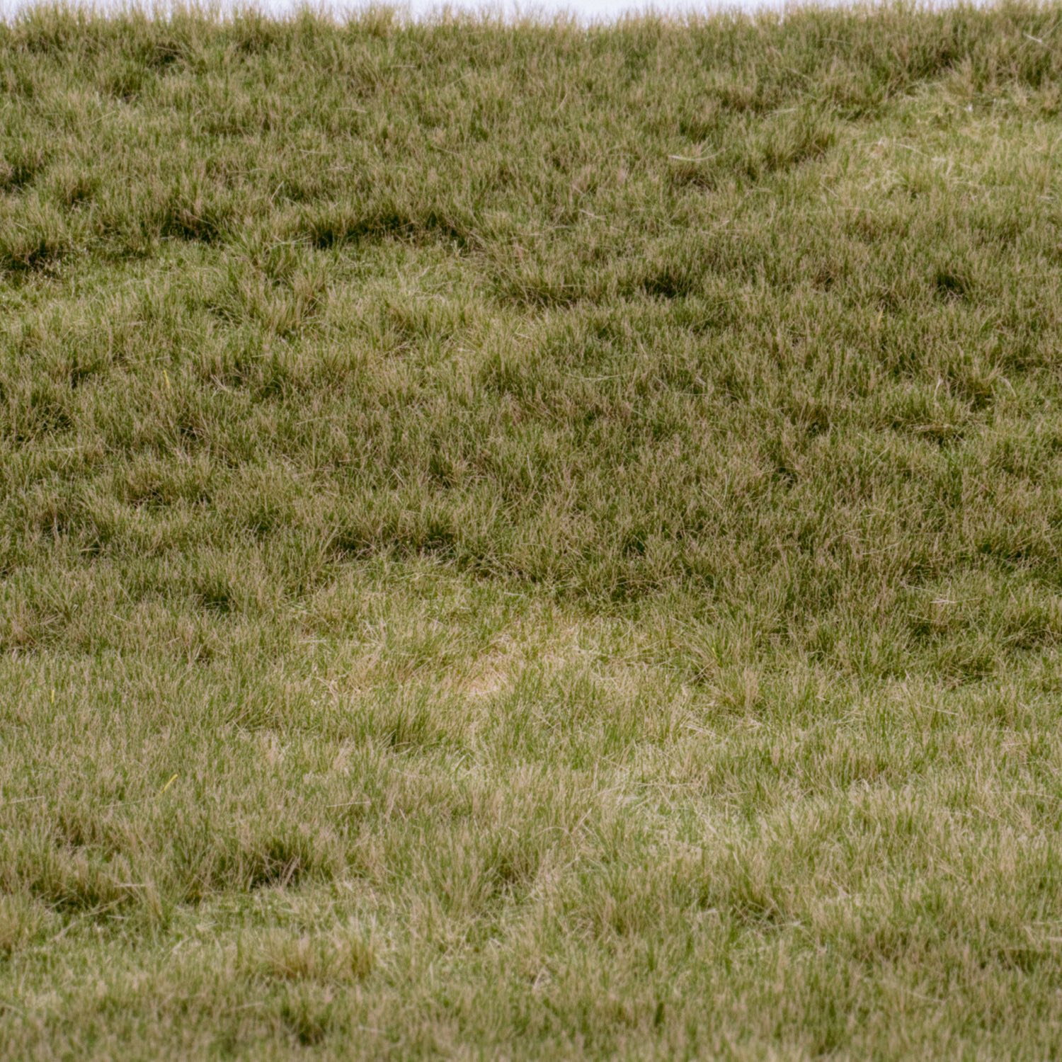 rts-greenkeeper-fr-hherbst-grasmatte-herbstlich-flexibel image 1