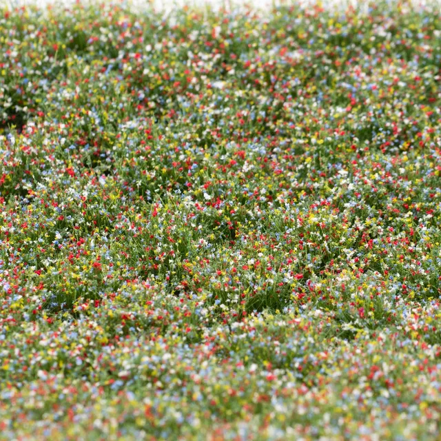 rts-greenkeeper-bienenweide-bl-tenb-schel-148x210-mm image 1
