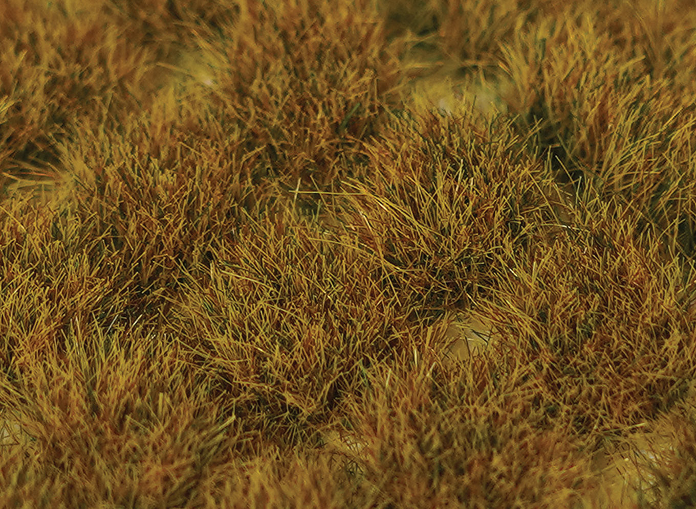 wwscenics-sgtwgr10-grasb-schel-wild-10-mm-100-st-ck image 1