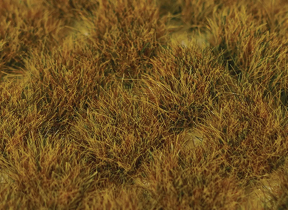 wwscenics-sgtwgr10-grasb-schel-wild-10-mm-100-st-ck image 1
