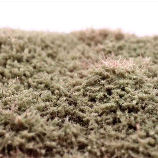 rts-greenkeeper-str-ucher-wacholder-oliv-4-30-mm image 1