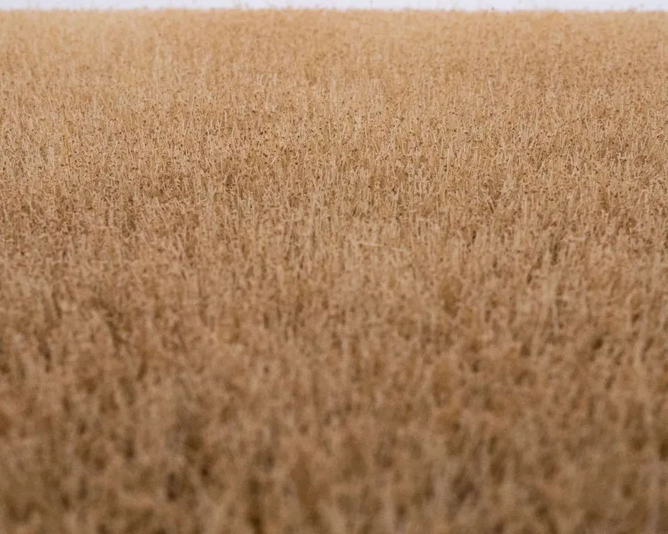 rts-grasmatte-kornfeld-sommer-420x297-mm-h0 image 1