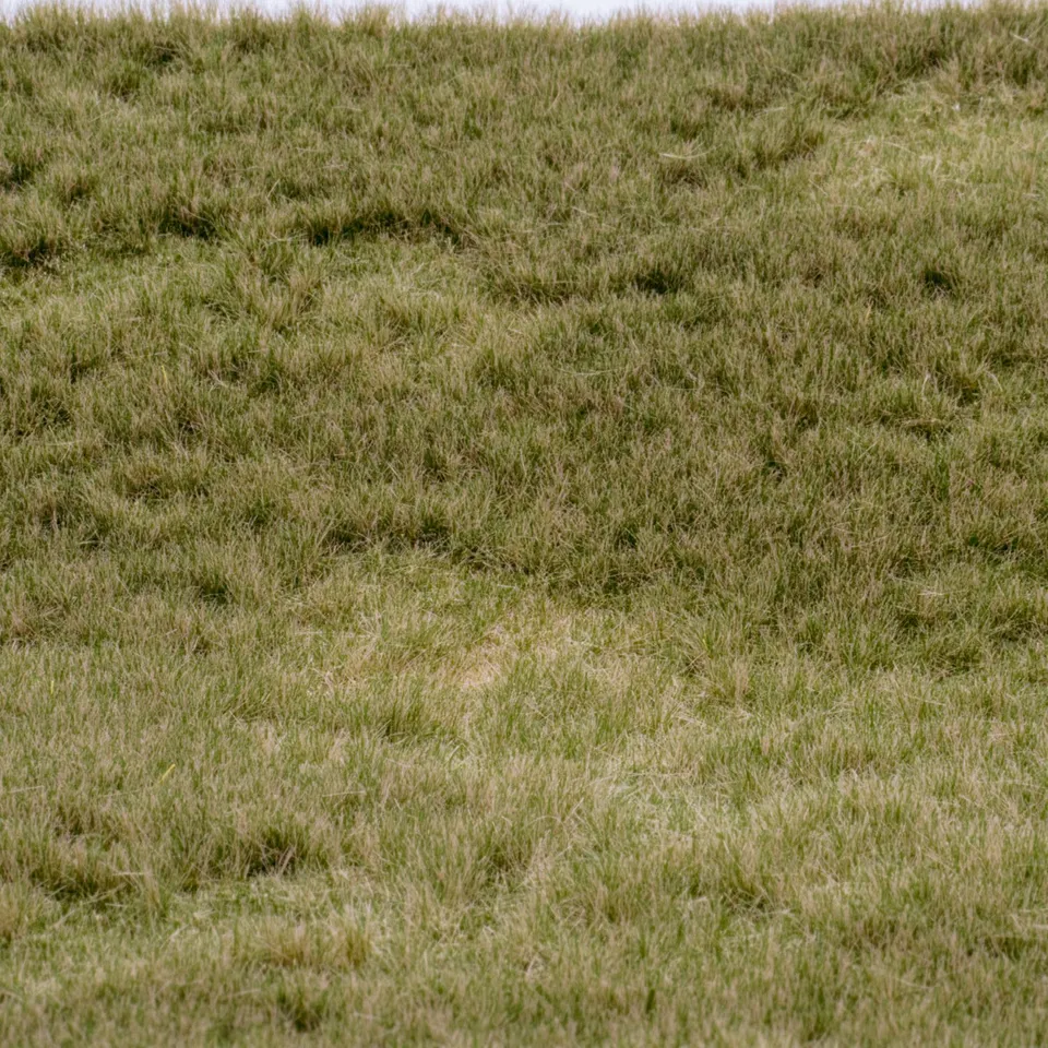 rts-greenkeeper-fr-hherbst-grasmatte-herbstlich-flexibel image 1