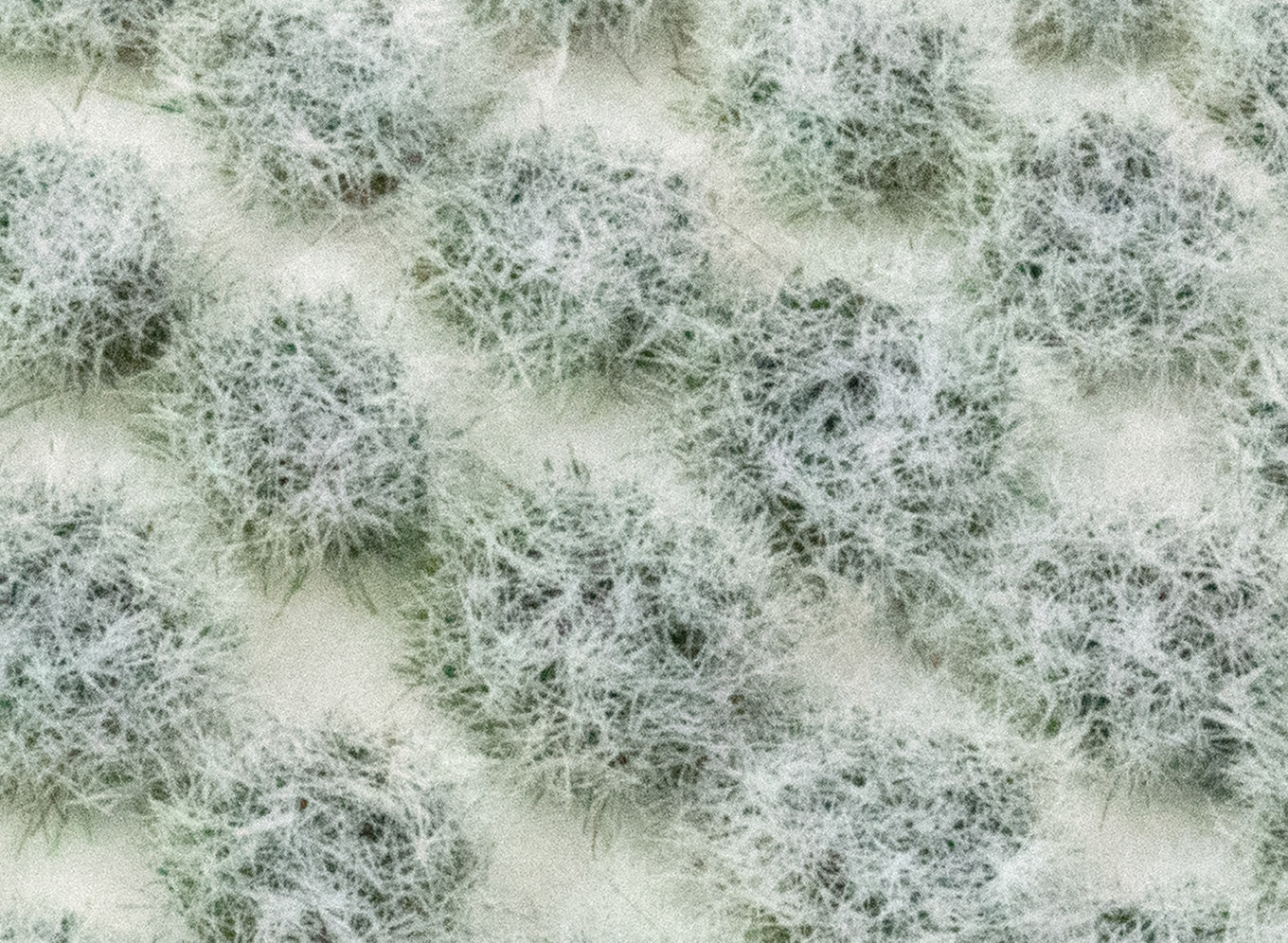 wwscenics-grasb-schel-winter-4mm-vereist-100-st-ck image 1